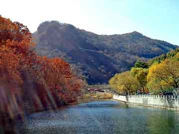 新澳天天开好彩大全，日本山田气动隔膜泵